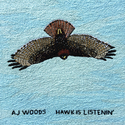 AJ Woods Hawk is Listenin